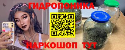 spice Бердск