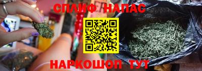 spice Бердск