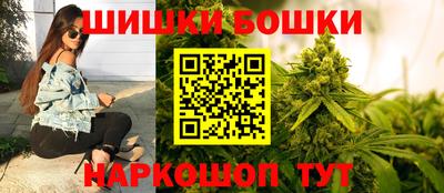 spice Бердск