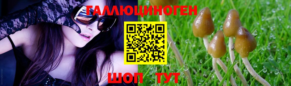 Галлюциногенные грибы прущие грибы  Псилоцибиновые грибы MAGIC MUSHROOMS  Вход с VPN  купить наркотик  Бийск 